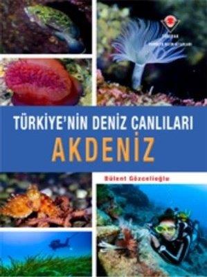 Akdeniz - Türkiye'nin Deniz Canlıları - Bülent Gözcelioğlu | Tübitak -