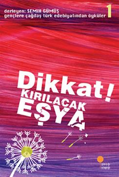 Dikkat Kırılacak Eşya - Semih Gümüş | Günışığı - 9789756227824