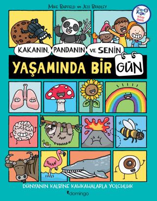 Kakanın, Pandanın Ve Senin Yaşamında Bir Gün - Mike Barfield | Domingo