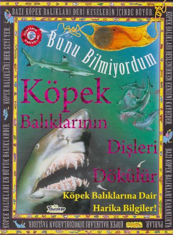 Köpek Balıklarının Dişleri Dökülür - Bunu Bilmiyordum
