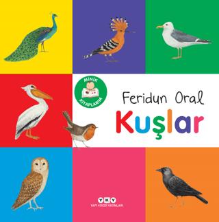 Minik Kitaplarım - Kuşlar - Feridun Oral | Yapı Kredi Yayınları - 9789