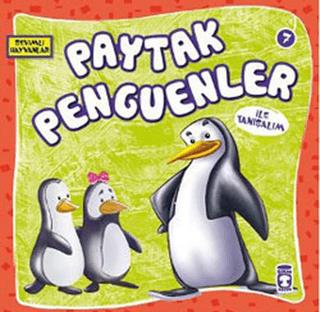 Paytak Penguenler İle Tanışalım