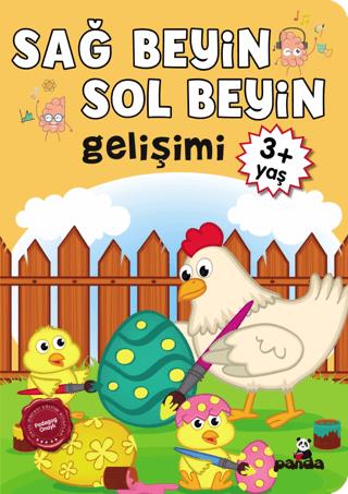 Sağ Beyin - Sol Beyin Gelişimi +3 Yaş
