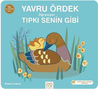 Yavru Ördek Öğreniyor Tıpkı Senin Gibi